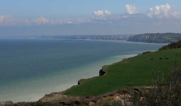 Falaise Varengeville (5)